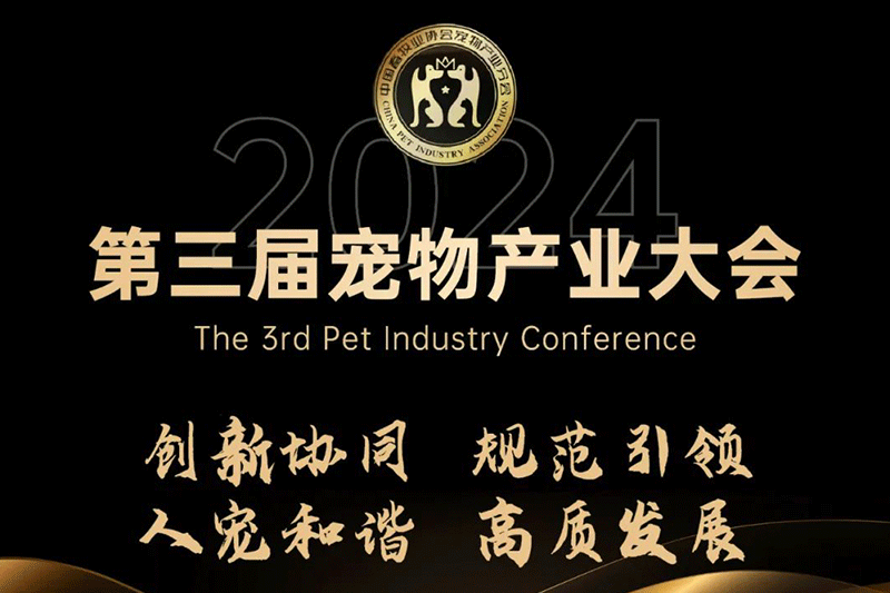 福貝寵食黃莉：時代變軌，用創新贏得市場，用洞察找到增長路徑