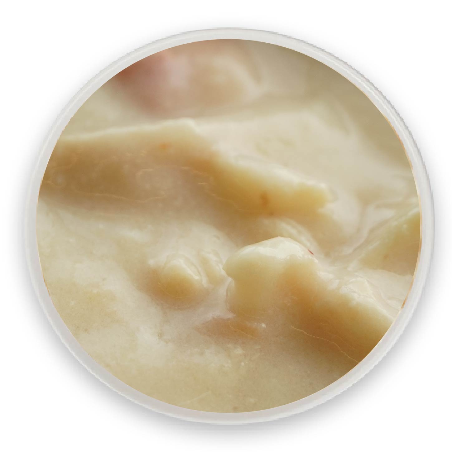 雞肉三文魚肉泥罐