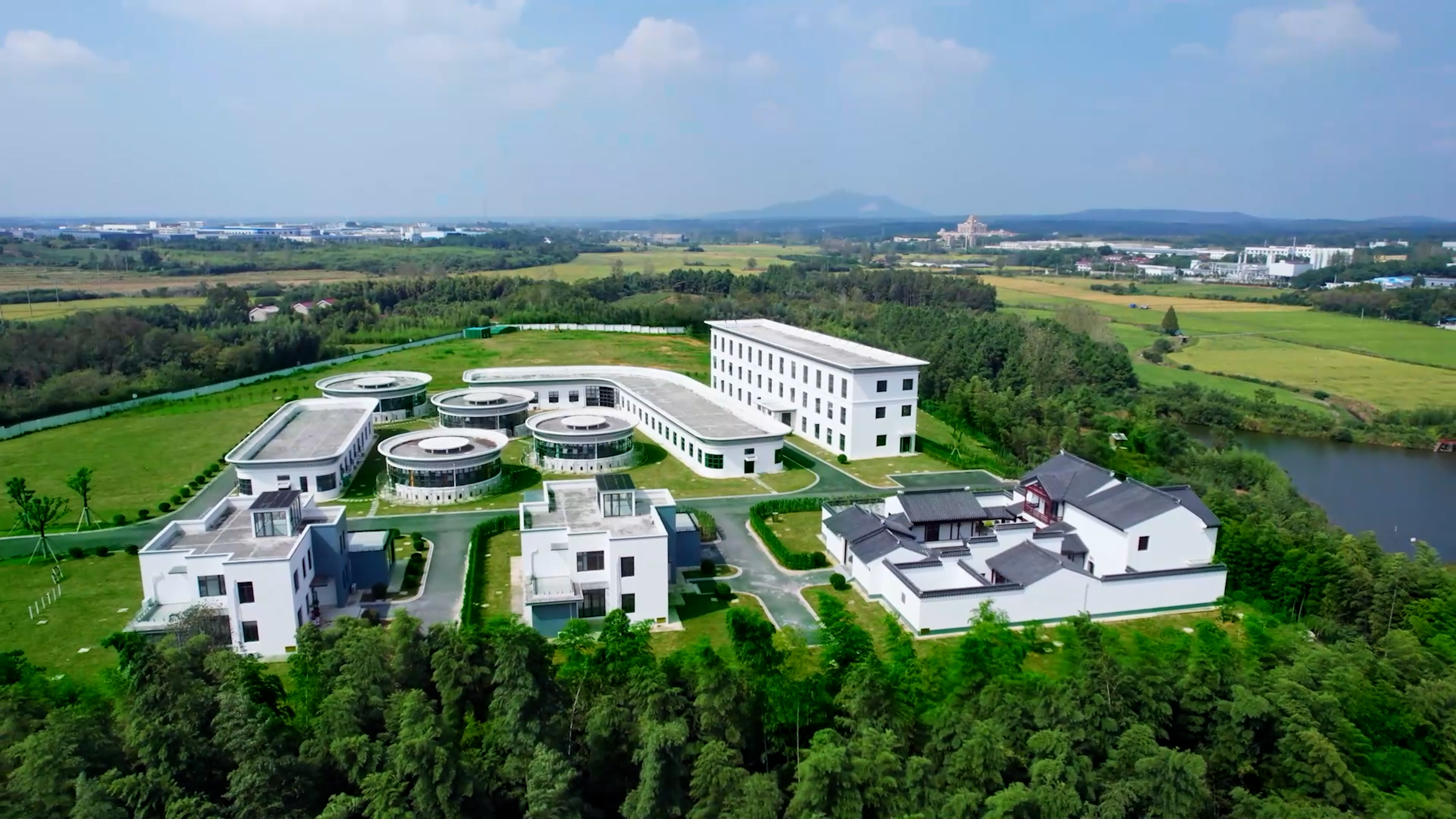 中國首個獲批實驗動物使用許可的寵物食品公司！福貝寵食引領行業(yè)科研規(guī)范化進程